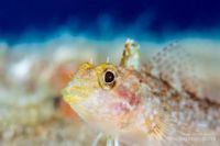 Mediterraneo ad Agosto