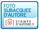Stampe fotografiche underwater a casa tua